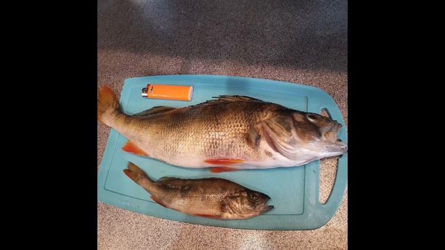 лето 2022 хорошее было время 😔 смотреть онлайн