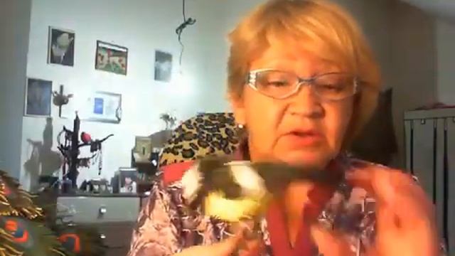 Итог 3 дня Обучения в Академии "Апельсин" - Наталья Картавцева смотреть онлайн