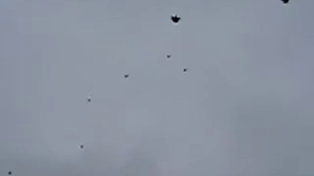 серпасто выворотные Зимовники 5 смотреть онлайн