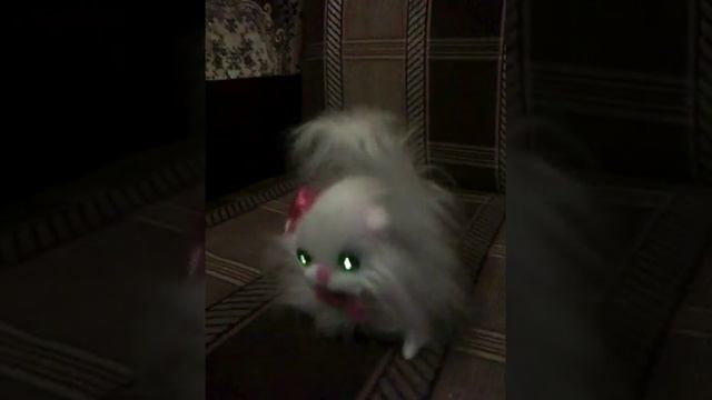 Пушистая белая кошечка. смотреть онлайн