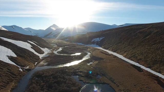 Экспедиция по изучению морских львов, 2017