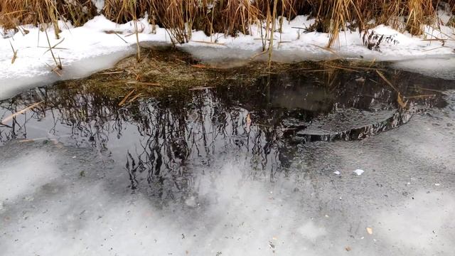 ✅? BIG FIRECRACKERS vs ICE RIVER ❄️ смотреть онлайн