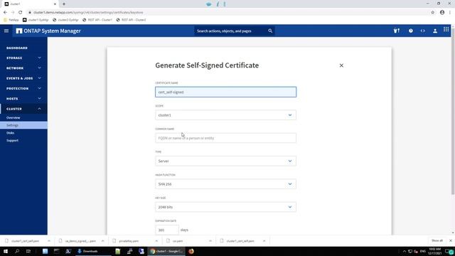 ONTAP 9.10.1 - CA - Case 5 - - Generate Self-Signed Certificate смотреть онлайн