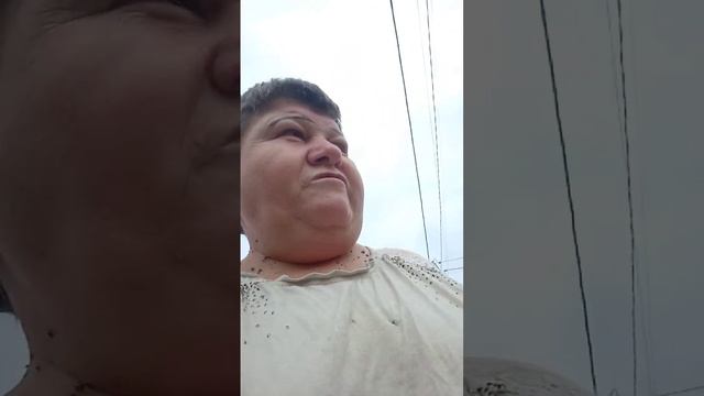 несу свеклу марковку будем борщ варить винигрет делать ?????????? смотреть онлайн