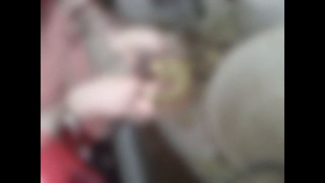 День рождение Вики фото Вики и Юли смотреть онлайн