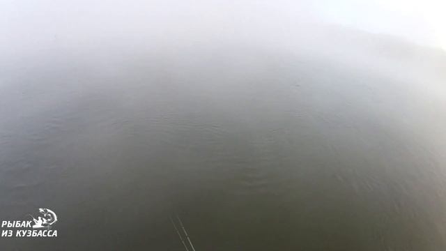 Окуни в тумане на каждом забросе. Щука акробатка. смотреть онлайн