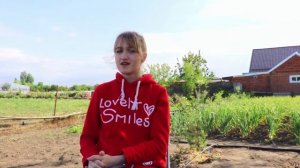 Что делать если муравьи атаковали вашу голубику?