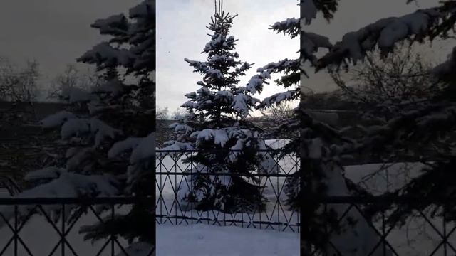 17 ФЕВРАЛЯ 2021 ГОД смотреть онлайн