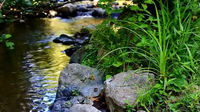 Медитация на природе смотреть онлайн