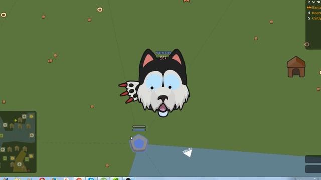 Играю в cats vs dogs.io смотреть онлайн
