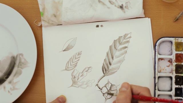 Come illustrare in modo semplice una foglia con Acquerello e penna. смотреть онлайн