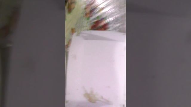 Mr.Fish is Dead help!rest in fish journey prt.4 смотреть онлайн