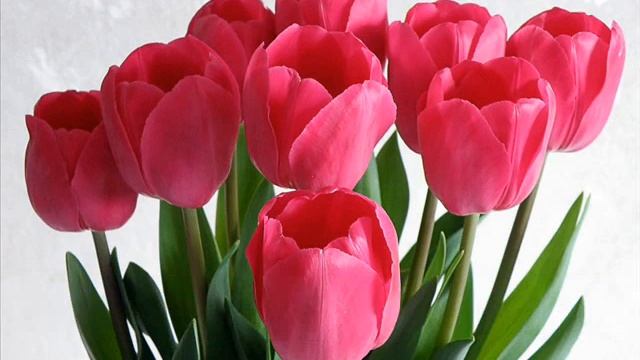 С 7 й годовщиной свадьбы поздравляю Сашу и Аню! смотреть онлайн