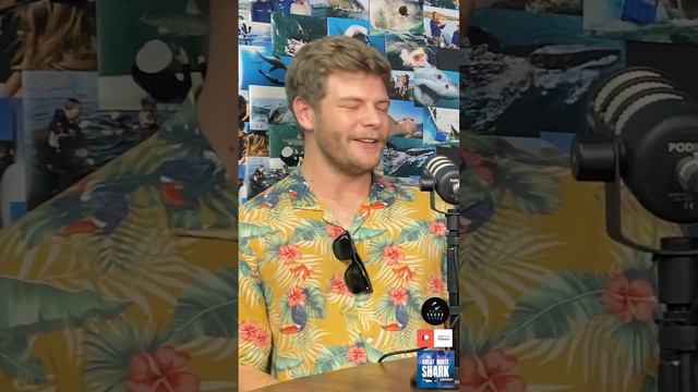 Baby Shark Live Action смотреть онлайн