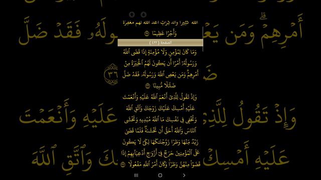 سورة الاحزاب ،للشيخ محمد صديق المنشاوي،تلاوة خاشعة هادئة مجودة ،صوت جميل جدا جدا ،قرآن كريم. смотреть онлайн