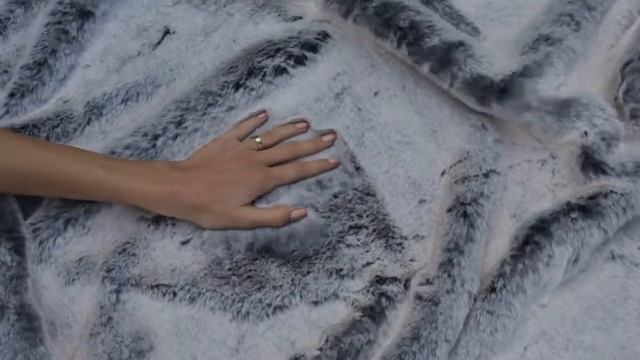 Шиншилла Алмаз - Tissavel (Франция) смотреть онлайн