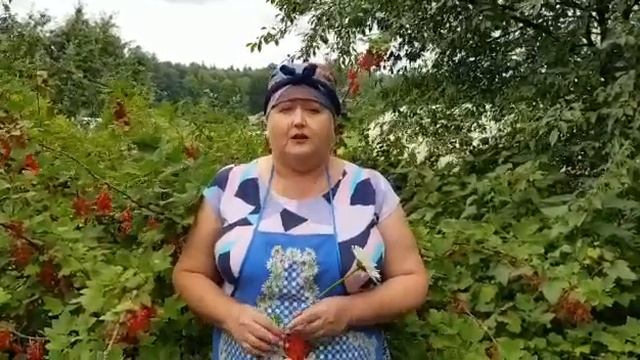 ОСП Красноборская поселенческая библиотека. "День семьи, любви и верности" смотреть онлайн