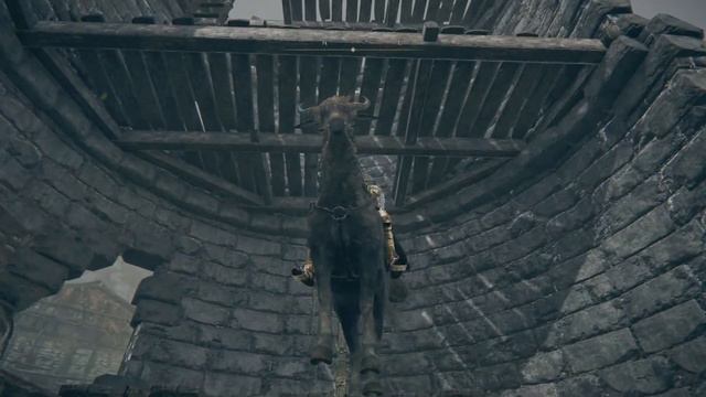 Elden Ring Convergence Mod