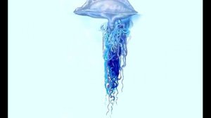 5 самых опасных медуз