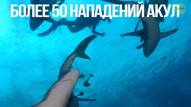 Остров, где 100 млн крабов окрасят землю в красный цвет прямо под вашими ногами смотреть онлайн