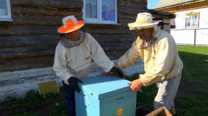 Покупка пчёл. ч.1. Калмаш. Пчеловодство.