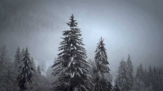 Трогательный и душевный стих "Письмо Деду Морозу" Юлия Вихарева.Читает Андрей Лукашенко смотреть онлайн