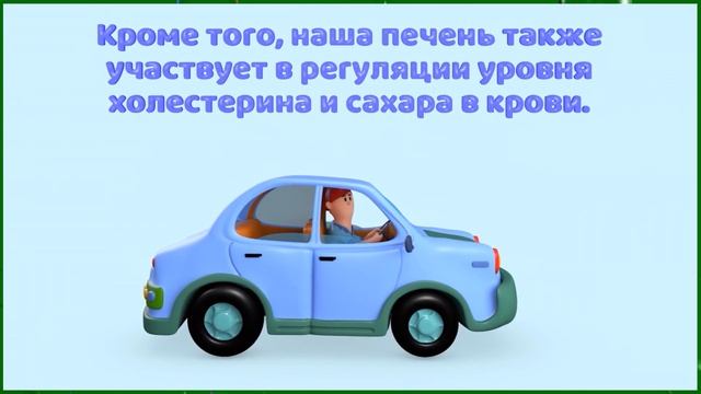 Печень на страже здоровья и молодости смотреть онлайн