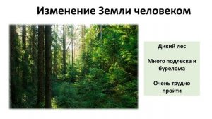 15. Охрана окружающей среды (5 класс) - введение в Биологию