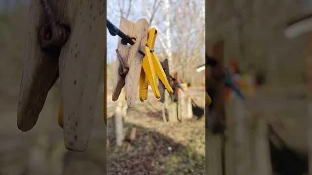 Утреннее пение птичек смотреть онлайн