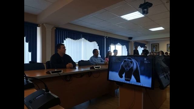 проект "Осторожно! Медведь!" смотреть онлайн