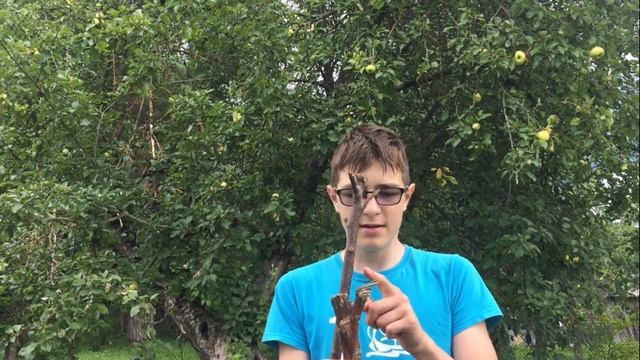 3 ЛУЧШИХ СПОСОБА КАК ПОСТРОИТЬ ЖИЛИЩЕ В ЛЕСУ. ВЫЖИВАНИЕ №2 смотреть онлайн