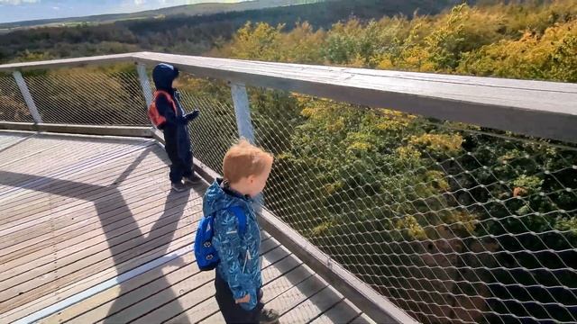 По верхушкам деревьев в осеннем лесу. Поход с детьми | Baumwipfelpfad im Steigerwald смотреть онлайн