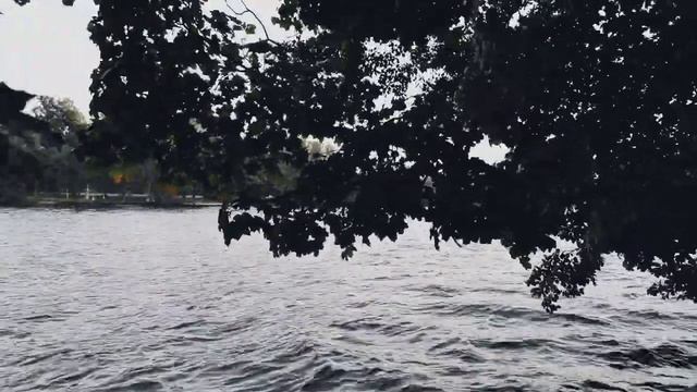 VID 20230807 212029 Сонет (Эзра Паунд)...Павел Васильев Лахтинский смотреть онлайн