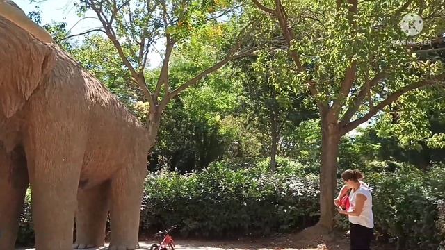CIUTADELLA PARK || THINGS TO DO IN BARCELONA,SPAIN смотреть онлайн