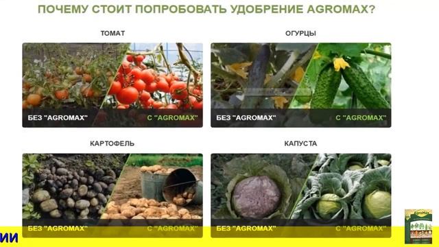 Агромакс краснодар смотреть онлайн