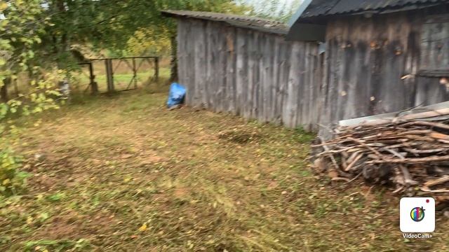 Купили дачу,первый приезд,знакомство с владениями!Домик в деревне!