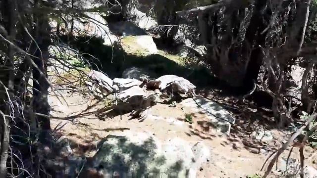 Алтай, горы, реки, горное озеро, что может быть прекрасней? Уехали в горы на УАЗике.