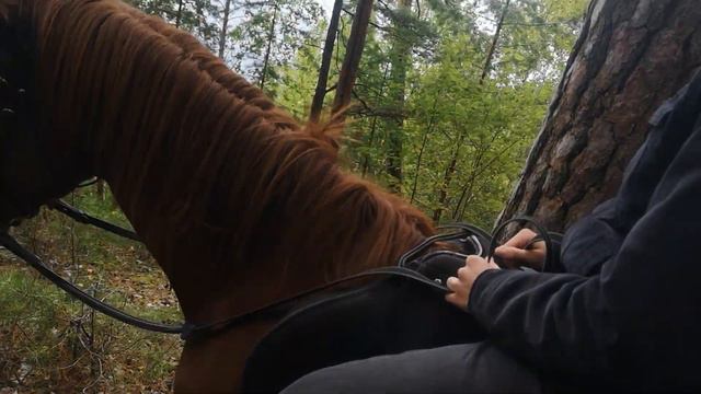 Осенний маршрут смотреть онлайн