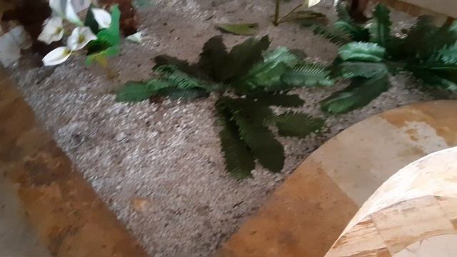 Смотрим две квартиры 2+1 на продажу от собственника. Шикарный вид на море! Мерсин. Чешмели. смотреть онлайн