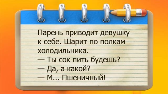 ✔️Завтра никогда не наступает. Просыпаешься - и снова сегодня. Я проверял. Анекдоты с Волком. смотреть онлайн