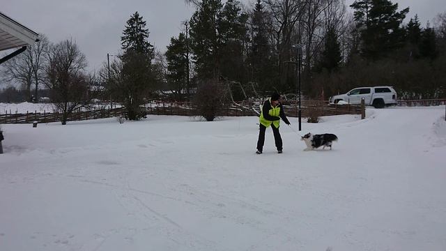 Lekövning Spex 20190131 смотреть онлайн