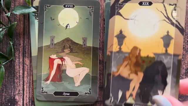 Таро Тёмного Леса — обзор за 6 минут / Dark Wood Tarot Flip Through смотреть онлайн