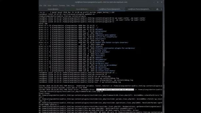 Fix Blank or white page on wordpress using wp_debug or debug.log via wp-config.php смотреть онлайн