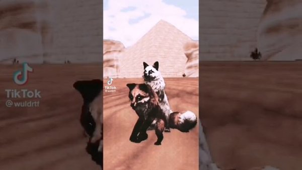 ||WildCraft тик ток подборка||