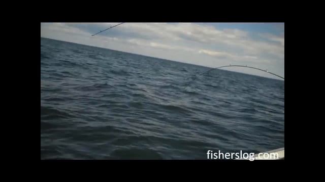 How to Catch Fluke with Gulp - Part 2 смотреть онлайн