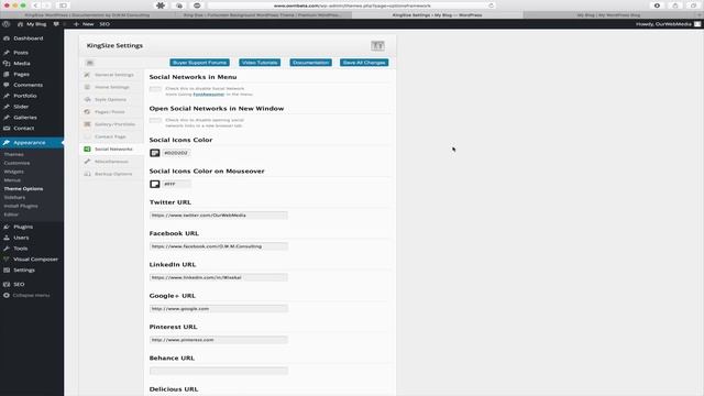 11. Exploring Theme Options - Social Networks [KingSize WordPress] смотреть онлайн