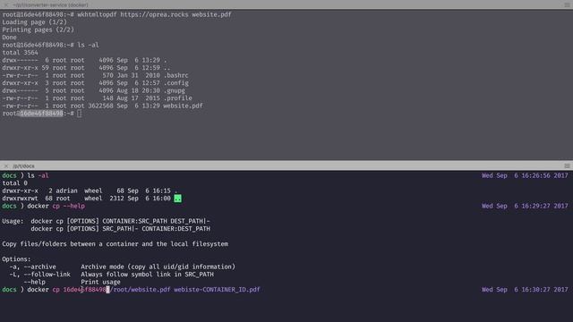 Copy files from a Docker container to the host machine смотреть онлайн