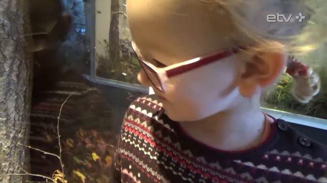 Сара в Музее природы ("ТВой вечер", 18/01/2016) смотреть онлайн