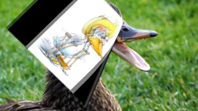 Rata Are Tare Carne Buna