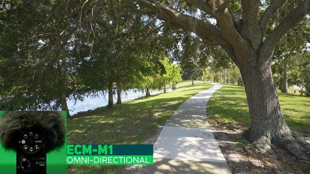 Sony ECM-B1M Vs ECM-M1 | Best Mic For Sony Shooters